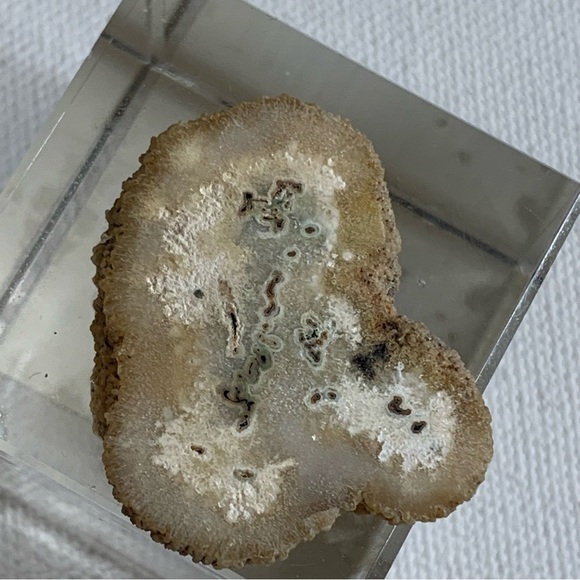 Las Torres Mine Uruguay Stalactite Slice Polished Crystal Display Specimen 1.4 - Picture 2 of 7